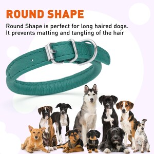 May include: A teal leather dog collar with a round shape and a silver buckle. The collar is designed to prevent matting and tangling of long hair.