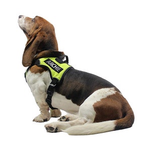 Personalized Custom Patch/Patches Label Tag | 3M REFLECTIVE Letters For Dog Harness Vest | Dog Name Custom w/ Hook Backing Fastener image 6