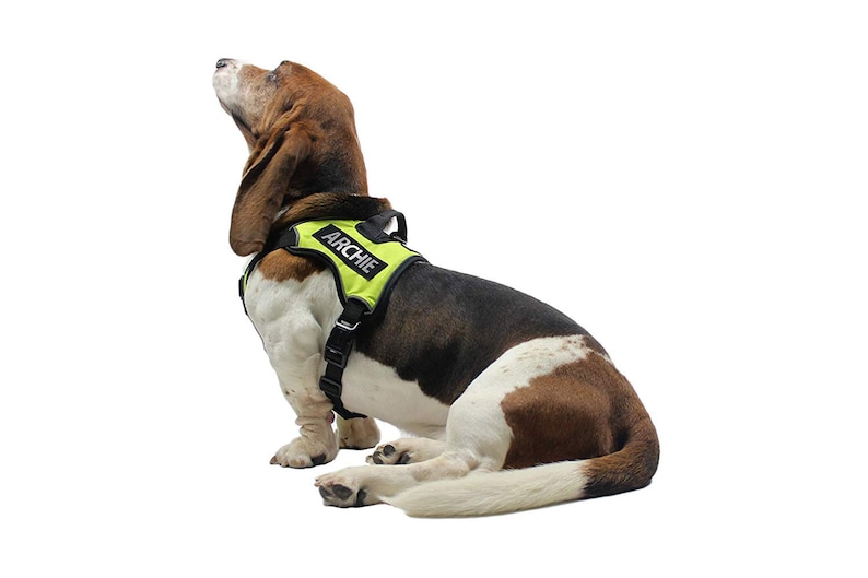 Personalized Custom Patch/Patches Label Tag | 3M REFLECTIVE Letters For Dog Harness Vest | Dog Name Custom w/ Hook Backing Fastener image 6