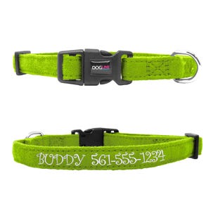 May include: Lime green dog collar with a black buckle and a silver ring. The collar is embroidered with the text "BUDDY 561-555-1234" in white.