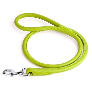 May include: A lime green dog leash with a rounded design. The leash is made of a smooth material and features a silver-colored metal clasp. The leash is designed for comfort and durability, perfect for daily walks with your pet.