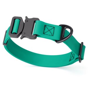 Teal Biothane dog collar with metal quick release buckle and metal D-ring, 1 inch wide, adjustable
