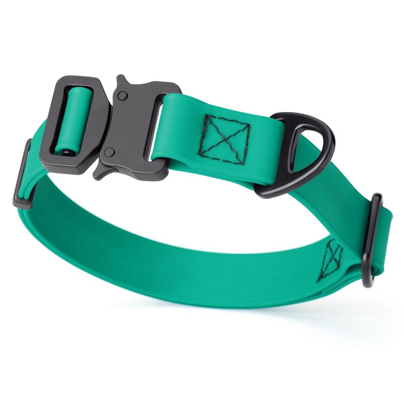 Teal Biothane dog collar with metal quick release buckle and metal D-ring, 1 inch wide, adjustable