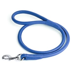 May include: A blue leather dog leash with a silver-colored metal clasp. The leash is a vibrant blue color and has a loop handle. The leash is made of a smooth, durable material.