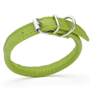 Lime Green leather dog collar with metal hardware, round design, 1/4 inch wide