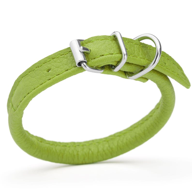 Lime Green leather dog collar with metal hardware, round design, 1/4 inch wide