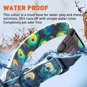 May include: A blue and green dog collar with a peacock feather pattern. The collar is waterproof and has a black buckle with the word "CLINE" printed on it.  "WATER PROOF" is written in orange at the top of the image.  "This collar is a must have for water play and messy activities. Dirt runs off with simple water rinse Completely pet odor free" is written in black text below the image.