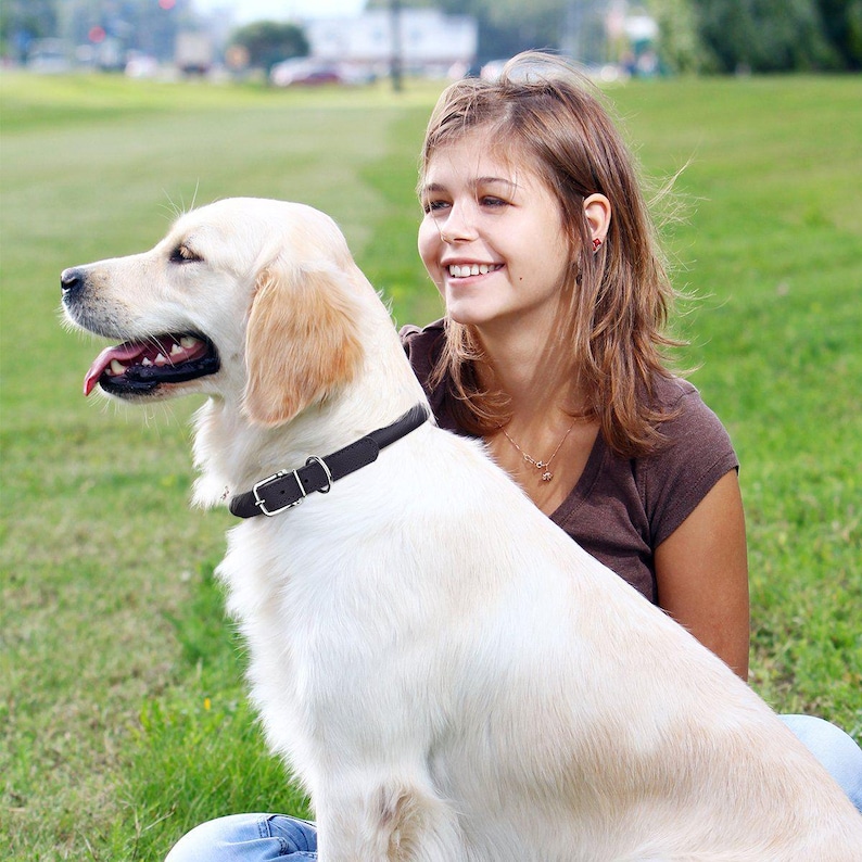 May include: A young woman with long brown hair smiles at the camera while holding a white dog with a brown leather collar. The dog is looking to the side.