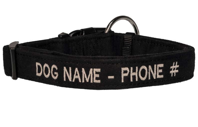 May include: Black dog collar with a silver metal ring and a white embroidered inscription that reads "DOG NAME - PHONE #"
