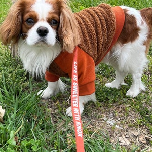 May include: A Cavalier King Charles Spaniel wearing a brown and orange fleece sweater with the text "Life is Sweeter with Knox" on a red leash. The dog is standing on green grass.