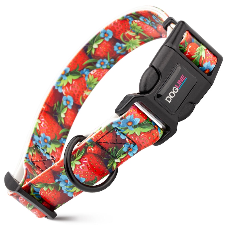 Printed Biothane dog collar with quick release buckle, Strawberries design