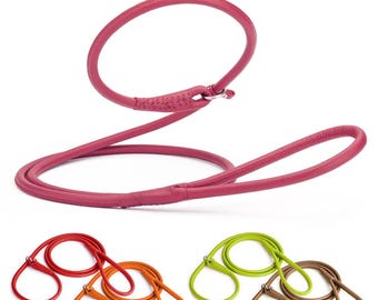 Rolled Leather Slip Lead 6ft, 3ft – for Small Dogs, Medium and Large Breeds