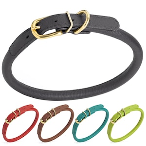 May include: A black leather dog collar with a gold-colored buckle and hardware. Below are four additional collars in red, brown, teal, and lime green. The collars are round and have a classic design.
