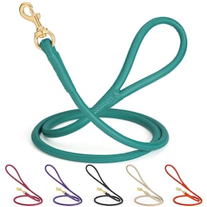 May include: A teal dog leash with a gold-colored clasp. The leash is made of a smooth, rounded material and has a loop handle. Additional leashes in red, purple, black, beige, and orange are shown below the teal leash.