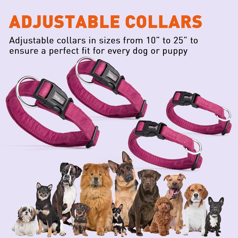May include: Three adjustable dog collars in pink with black buckles and silver rings. The collars are shown in different sizes, ranging from 10 inches to 25 inches. The collars are displayed on a white background with a group of dogs in the bottom of the image.