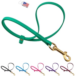 May include: A green leather dog leash with a brass-colored swivel clasp. The leash is looped and has a small leather loop with a brass button. The image also shows the leash in black, blue, pink, purple, and burgundy.