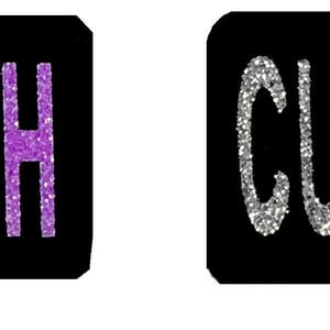 Custom Patch w/Glitter Letters for Dog Vest, Harness Bling Text Personalized Patches w/Hook Backing Name, Agility, Funny image 9