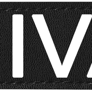 Może przedstawiać: Czarny patch z białymi literami tworzącymi słowo "DIVA".