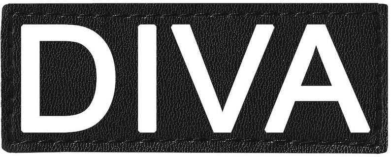 Może przedstawiać: Czarny patch z białymi literami tworzącymi słowo "DIVA".
