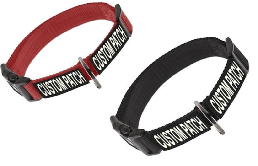 Personalized Dog Pet ID Collar With Removable Interchangeable VELCRO