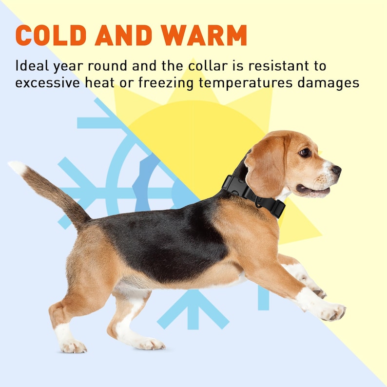 May include: A brown and black beagle dog wearing a black dog collar with a white background. The text "COLD AND WARM" is at the top of the image. The text "Ideal year round and the collar is resistant to excessive heat or freezing temperatures damages" is below the text "COLD AND WARM".
