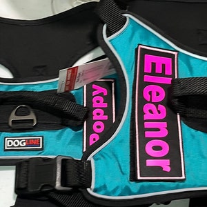 May include: Two teal blue dog harnesses with black straps and silver buckles. The harnesses have pink name tags that read "Poppy" and "Eleanor".