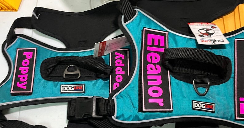 May include: Two teal blue dog harnesses with black straps and silver buckles. The harnesses have pink name tags that read "Poppy" and "Eleanor".