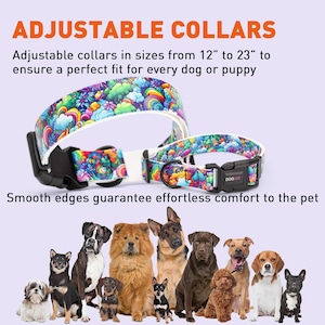 May include: Adjustable dog collars with a rainbow and cloud print. The collars are available in sizes from 12 inches to 23 inches. The collars are shown with a group of dogs.