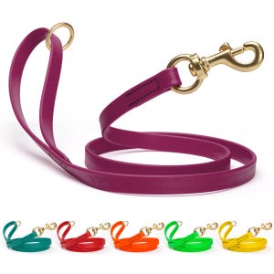Biothane Dog Leash Solid Brass Hardware – Durable, Training, Waterproof – 4ft, 6ft, 20in Traffic Leash