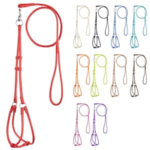 May include: A set of 10 colorful dog leashes and harnesses. The leashes are made of leather and have a loop at the end for attaching to a collar or harness. The harnesses are also made of leather and have a buckle closure. The leashes and harnesses are available in a variety of colors, including red, orange, yellow, green, blue, purple, pink, brown, black, and white.