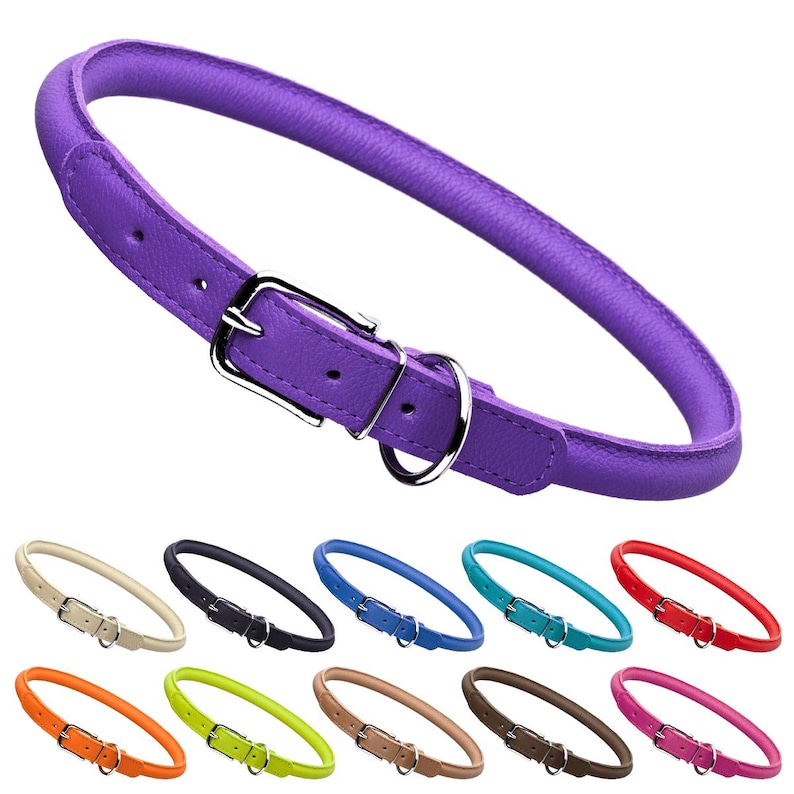 Rolled leather collar for dogs with metal buckle, purple and 10 other color options