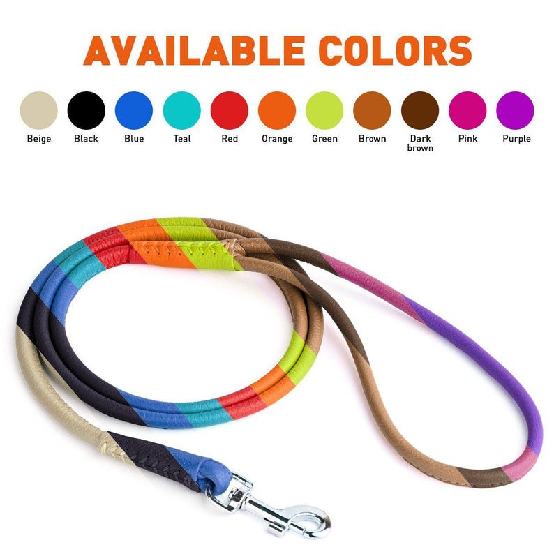 May include: A rainbow-striped dog leash with a silver metal clasp. The leash features a variety of colors, including red, orange, green, and blue. Text at the top reads "AVAILABLE COLORS" with color swatches.