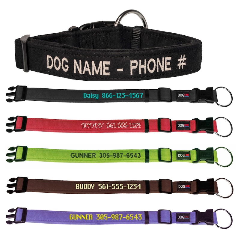 May include: Five different dog collars with personalized text and phone numbers. The collars are black, red, green, brown, and purple. Each collar has a metal D-ring and a plastic buckle with the word "DOG" on it.