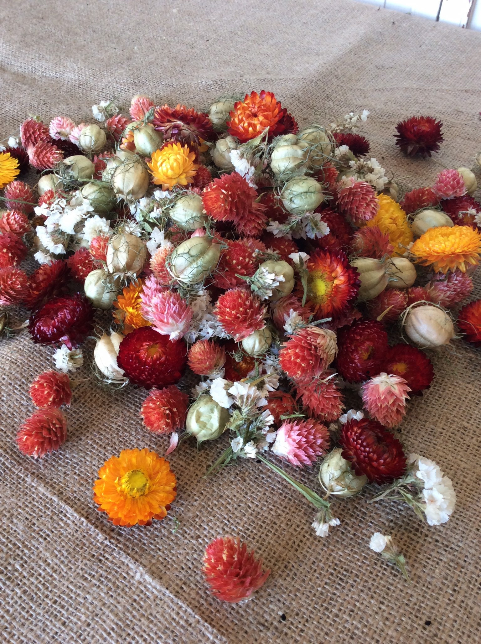 Dried Flower Head Mix Etsy