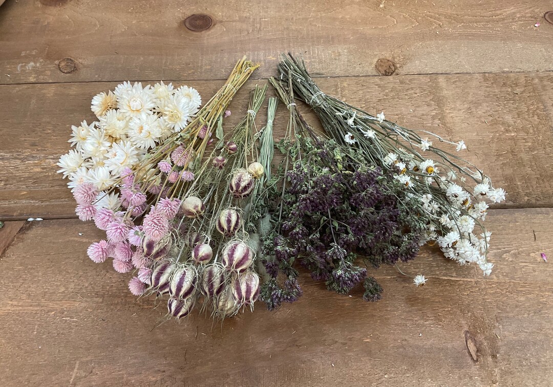 DIY Dried Flower Kit Etsy Canada