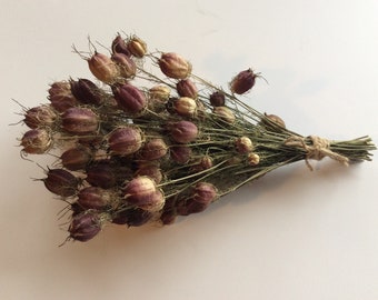 BOGO SALE - Dried Bouquet of burgundy Nigella pods