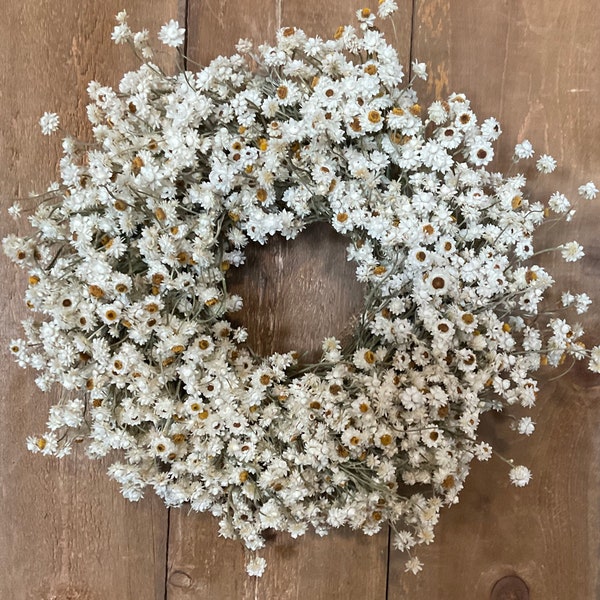 Dried Ammobium Gardens Wreath