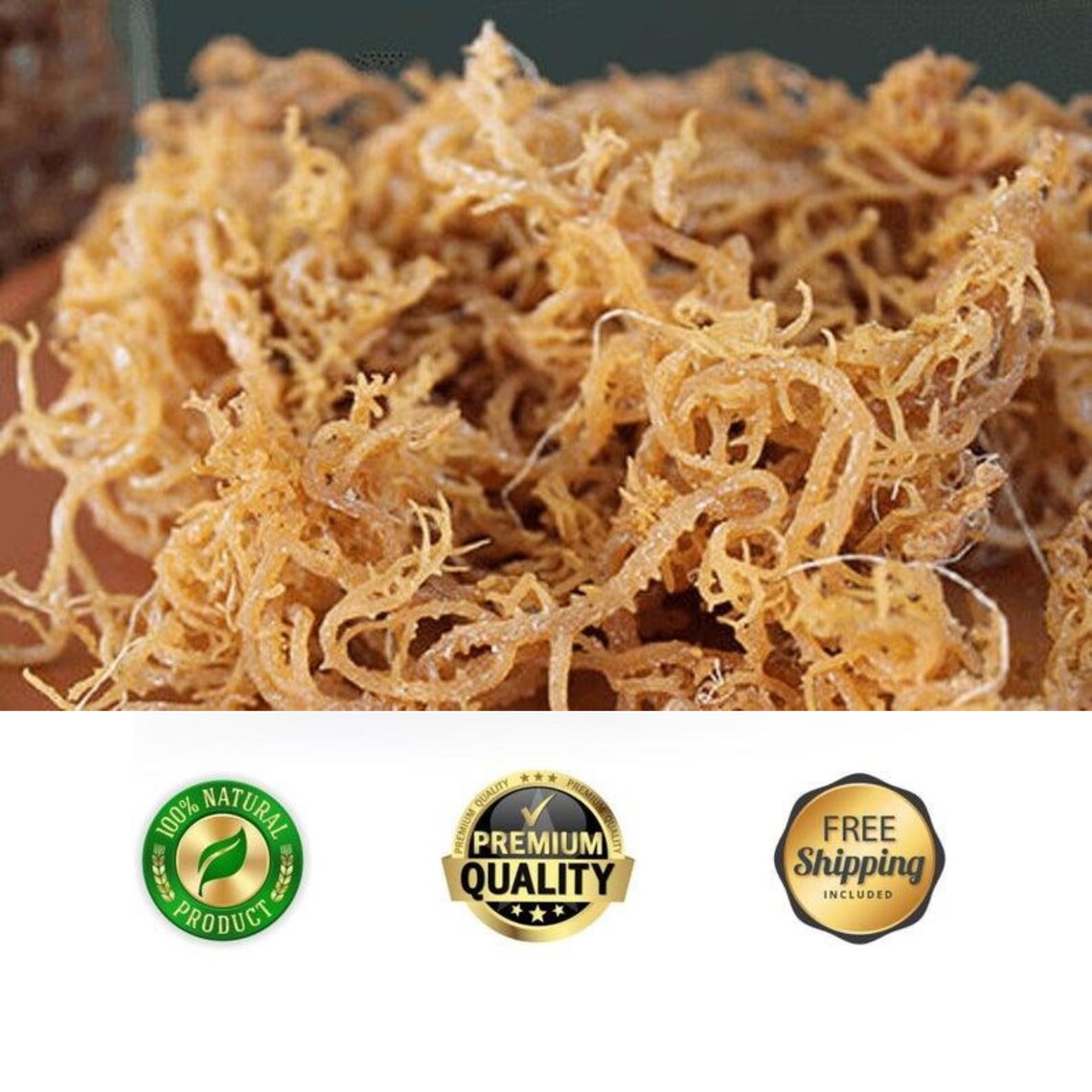 Raw Irish Sea Moss 100 Real Authentic Ocean Fresh Pure & Etsy