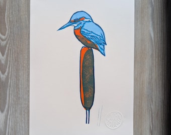Kingfisher lino print A4 - Azul y Naranja