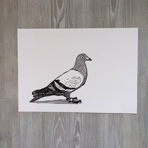Pigeon - A3 lino print