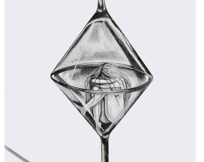 Fanget (296 x 419 mm)