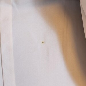 May include: Close-up of a white fabric with a small, dark spot. The fabric appears to be a light, possibly sheer material, with a subtle texture. The image is well-lit, highlighting the fabric's details.