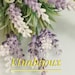 EtnaBijoux store logo