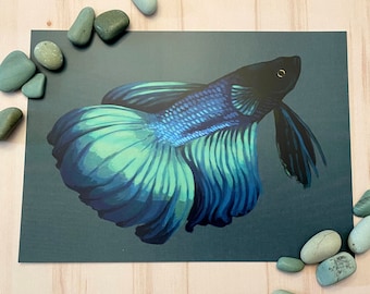 Blue Betta Fish 5x7 Art Print