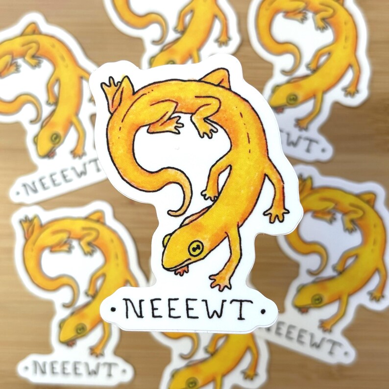 Send Newts Sticker Newt Vinyl Sticker Salamander - Etsy