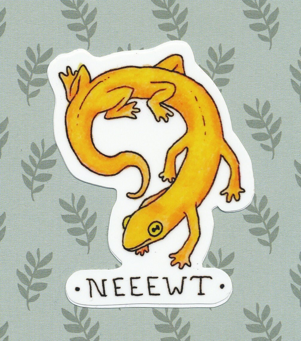 Send Newts Sticker Newt Vinyl Sticker Salamander - Etsy