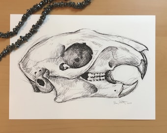 5x7 Print - Squirrel Skull