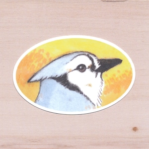 Vinylsticker Blue Jay