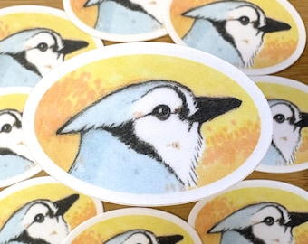 Blauhäher Vinyl Sticker