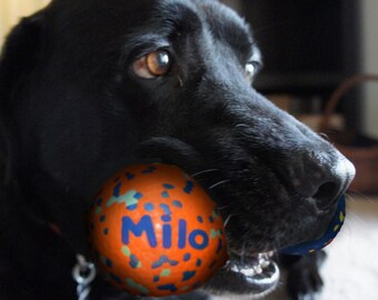 Temps de jeu personnalisé pour chien : cadeau personnalisé de balles durables pour tous les chiens